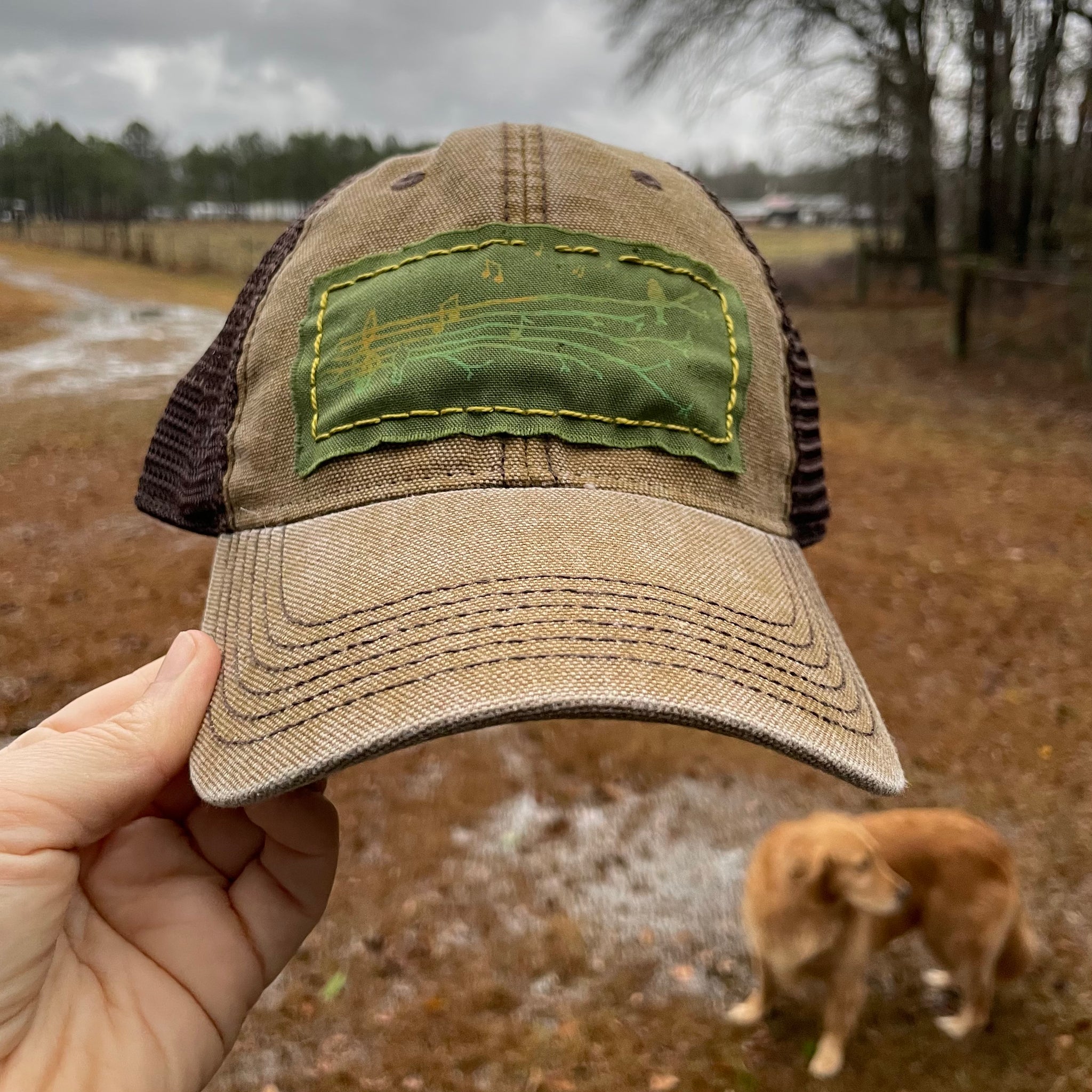 Songbird 🎶 Hat - Timmonsville, South Carolina