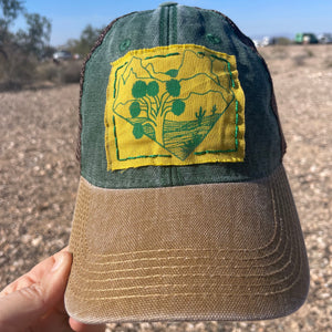 Joshua Tree 🌵 Hat -  Cibola, Arizona
