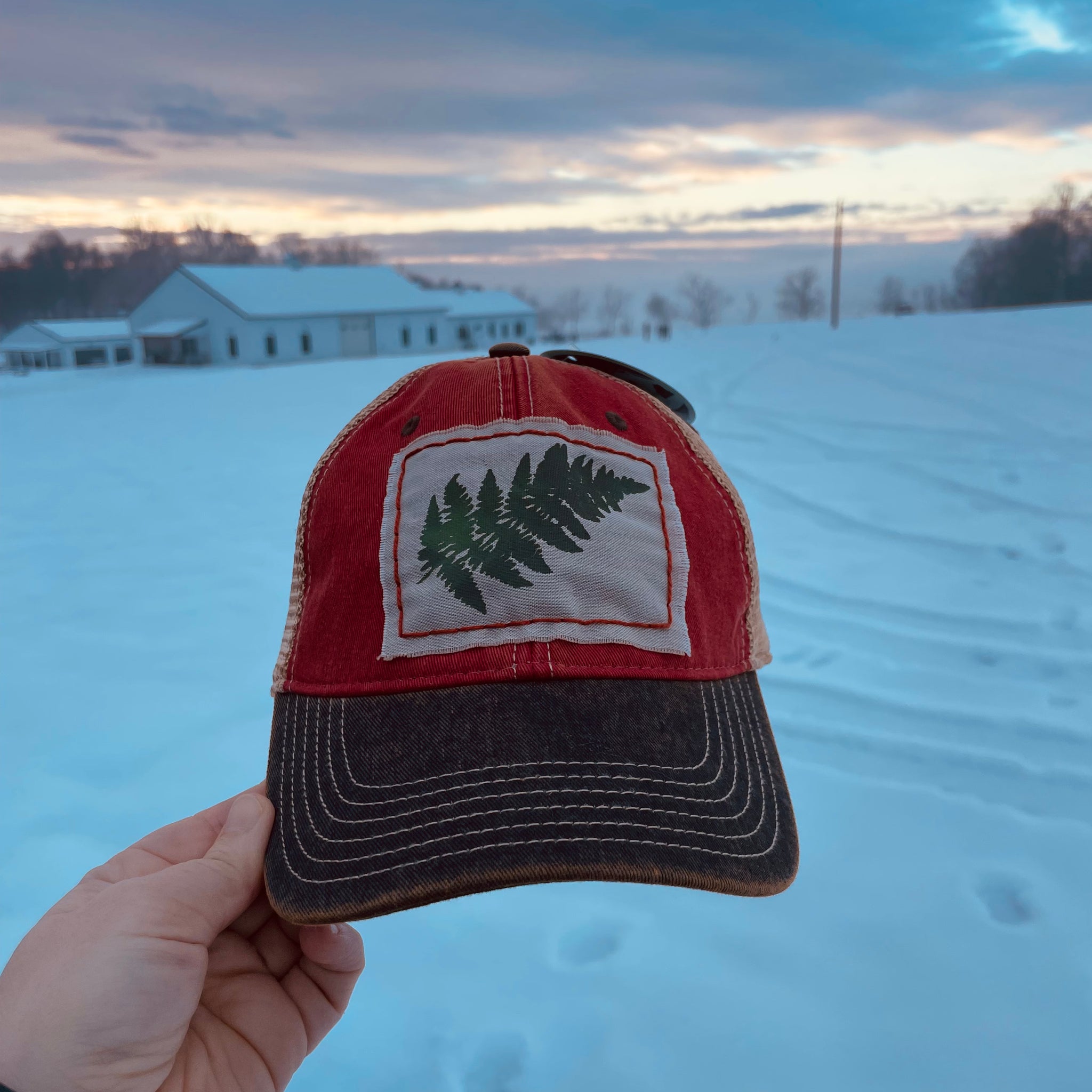 Fern 🌿 Hat - Martinsburg, West Virginia