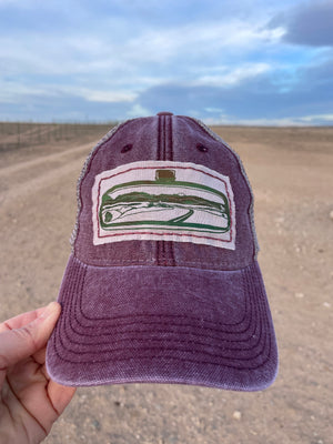Route 66 🛣️ Hat -  Roswell, New Mexico