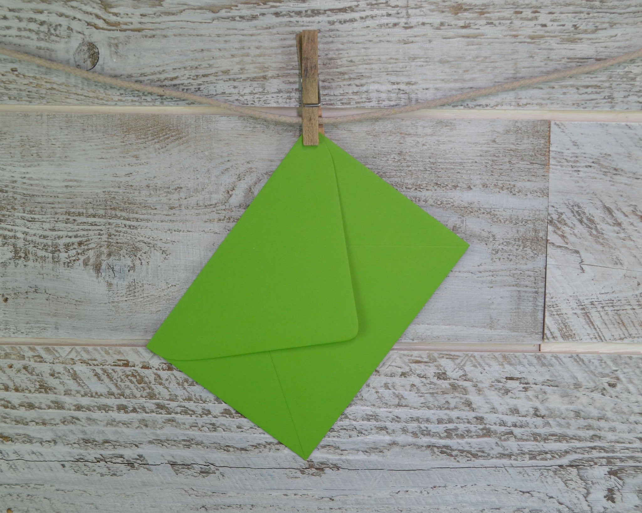 Nature Lover, Bike, Blank Card, Recycled Paper, Compostable Plastic, Eco Friendly, Green, Birthday Card, Kraft Paper, Envelope, Bird