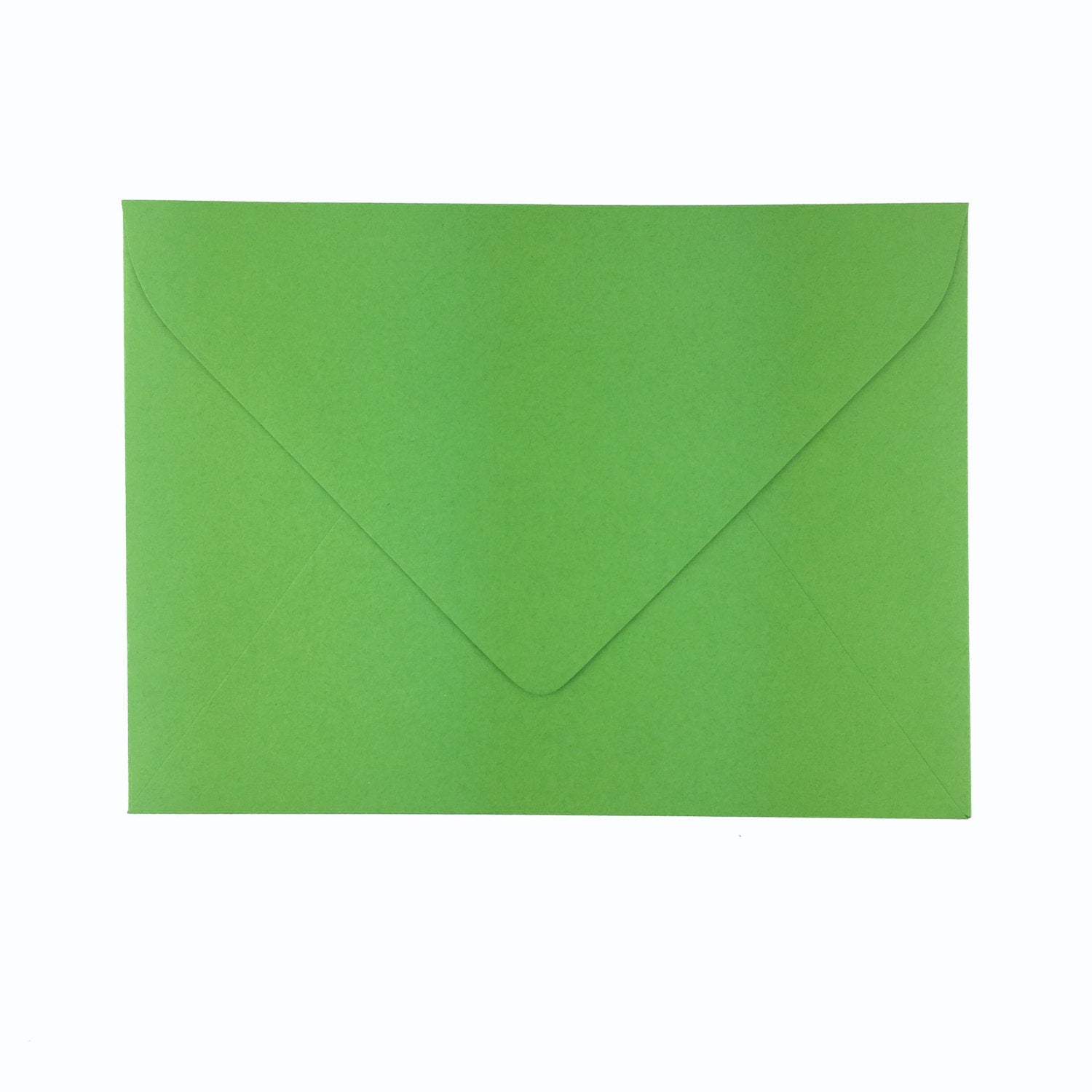 Nature Lover, Bike, Blank Card, Recycled Paper, Compostable Plastic, Eco Friendly, Green, Birthday Card, Kraft Paper, Envelope, Bird