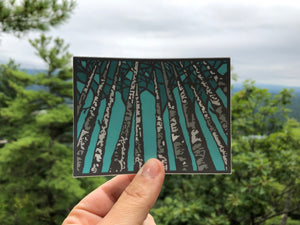 Birch Trees Sticker