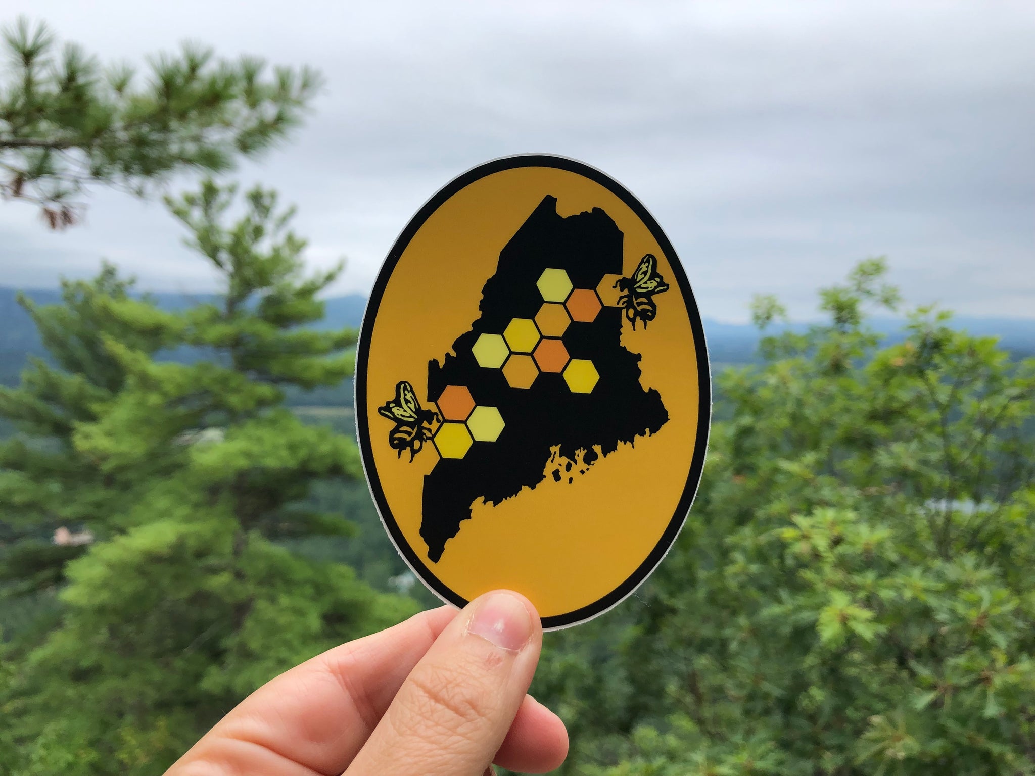 Bee Maine Honey Comb State Sticker