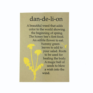 Dandelion, Spring Flower, Birthday Card, Forager, Blank Card, Recycled Paper, Honey Bee, Compostable Plastic, Eco Friendly