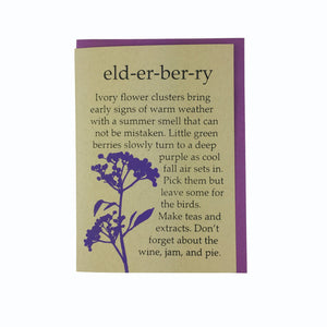Elderberry, Birthday Card, Cone Head Flower, Blank Card, Recycled Paper, Compostable Plastic, Eco Friendly, Kraft Paper, Maine